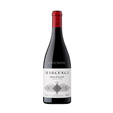 Image result for geografs sense fronteres