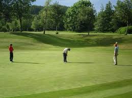 Image result for Drumpellier Cricket Club