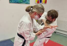 Image result for Harrow Shorinji Kempo