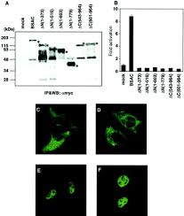Image result for Ware Bsac
