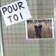 Rémi Gaillard est sorti de sa cage à la SPA de Montpellier et récolte ... - Le Huffington Post 1 - MontpelYeah Magazine