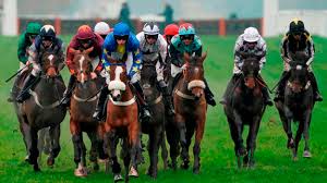 Image result for Thames Valley Riding Club