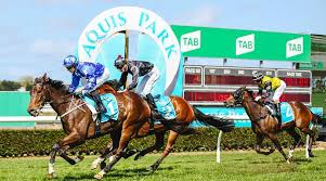 Image result for The Horse Racing Club