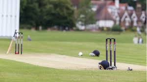 Image result for Worlingworth Cricket Club