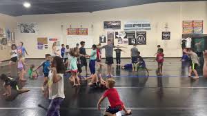 Image result for Revolution Dojo