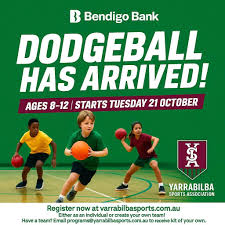 Image result for Harborough Junior Dodgeball Club