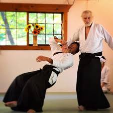 Image result for Coldharbour Aikido Club