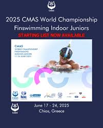 Image result for Swansea Finswimming Club