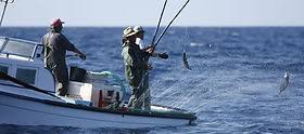 Image result for Newhaven Deep Sea Anglers