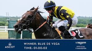 Image result for SportsAble