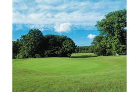 Image result for Aldwickbury Park Golf Club