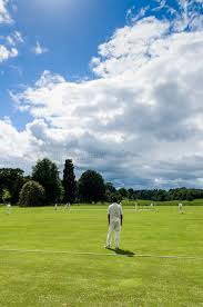Image result for Shenley Village Cricket Club