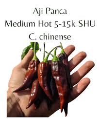Afbeeldingsresultaat voor aji panca hot pepper
