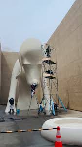 「青森あこ アニマル横町」の画像検索結果