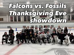 Image result for Cambridge City Junior Hockey Club