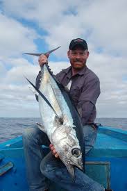 Image result for Thunnus alalunga