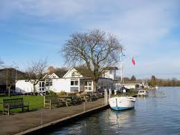 Image result for Tamesis Club