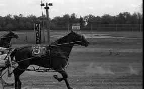 Image result for Isles Of Scilly Gig Racing Association