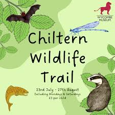 Image result for Chiltern Flyers