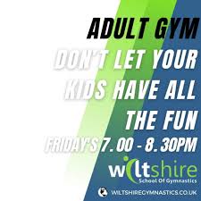 Image result for Wiltshire School Of Gymnastics