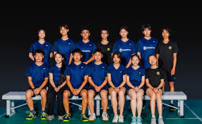 Image result for Rydekings Badminton Club