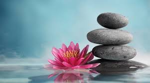 Image result for Esprit Spa & Wellness