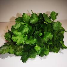 Image result for Koriander