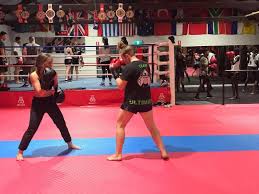 Image result for St Albans Ultimate