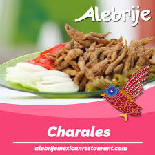 Attēlu rezultāti vaicājumam “Charales”