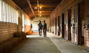 Image result for Annandale Equestrian Centre