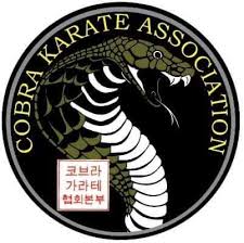 Image result for Cobra Karate Club