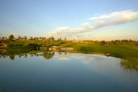 Image result for Falcon Sa Club