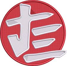 Image result for Judo Excellence