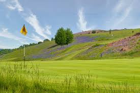 Image result for Bungay & Waveney Valley Golf Club