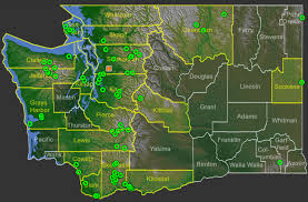 Attēlu rezultāti vaicājumam “Radula complanata sporophyte”