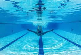 Image result for SwimSwansea