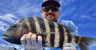 Image result for The Lancaster Fish