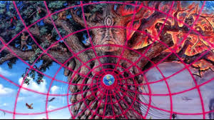 Image result for Alex gray