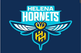 Image result for Hornets Netball Club