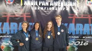 Image result for America's Best Karate Chandler