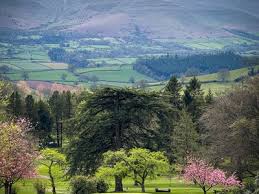 Image result for Cradoc Golf Club