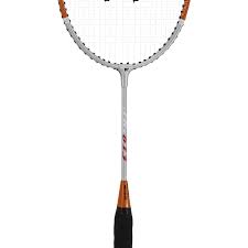 Image result for Racqueteers Junior Badminton Club