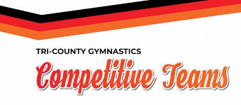 Image result for Border Counties School Of Gymnastics