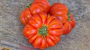 Afbeeldingsresultaat voor kosmonaut volkov 68D tomato