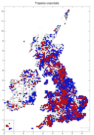 Attēlu rezultāti vaicājumam “Trapelia coarctata”