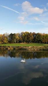 Image result for Romanby Golf Course