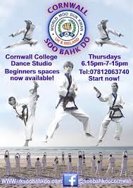 Image result for Cornwall Tae Kwon-Do