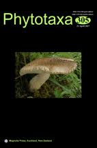 Attēlu rezultāti vaicājumam “Perenniporia subacida”