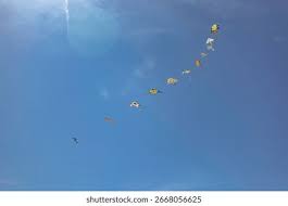 Image result for Atmosphere Kites