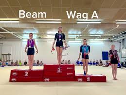 Image result for Swallows Of Helston Gym Club